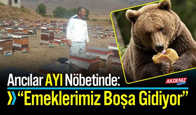 Arıcılar Ayı Nöbetinde: “Emeklerimiz Boşa Gidiyor”
