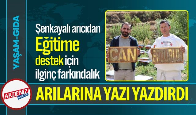 Şenkayalı arıcıdan sıra dışı yöntem: Arılarına yazı yazdırdı