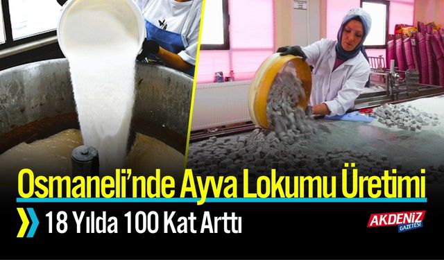 Osmaneli’nde Ayva Lokumu Üretimi 18 Yılda 100 Kat Arttı