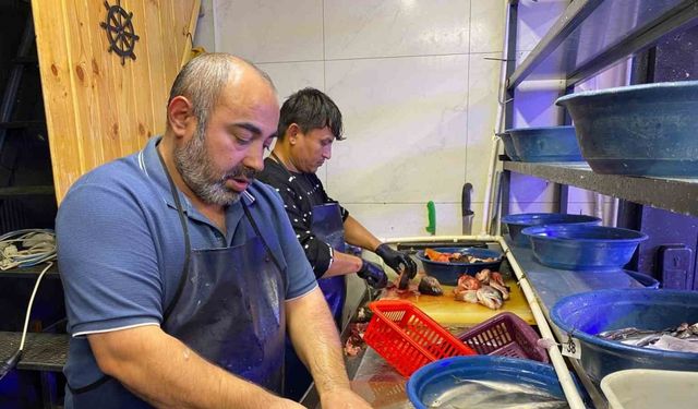 Balık Avı Sezonu Bereketli Başladı