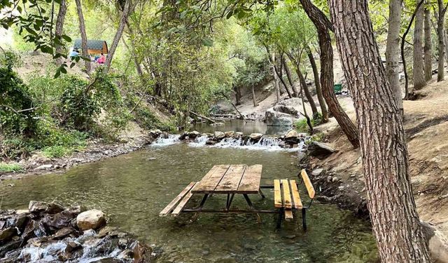 Elazığ’da Yazın Tek Adresi: Teke Deresi Doğal Güzelliği