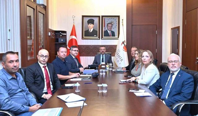 Eskişehir'de Sokak Hayvanları İçin Önemli Karar