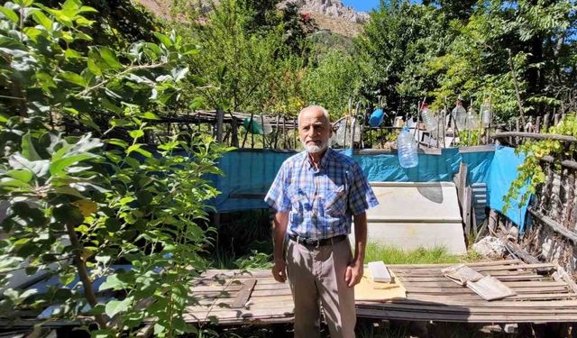 Ev ve bahçelere dadanan ayıları yetkililere şikâyet etti