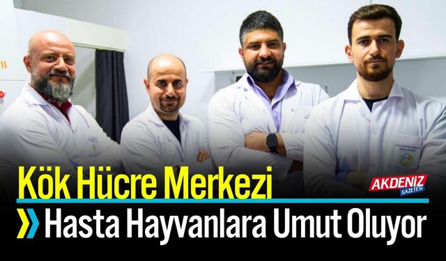 Kök Hücre Merkezi, Hasta Hayvanlara Umut Oluyor