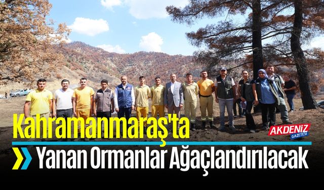 Kahramanmaraş'ta Yanan Ormanlar Yeniden Ağaçlandırılacak