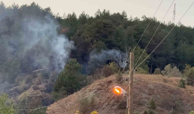 Karabük’te orman yangını kontrol altına alındı
