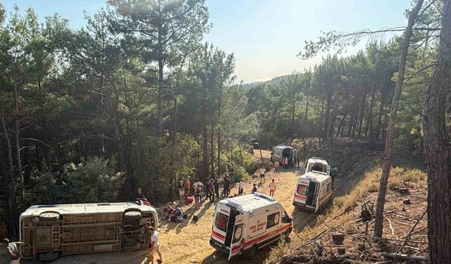 Kazdağı Milli Parkı’nda Tur Minibüsü Devrildi: 11 Yaralı