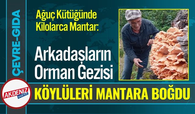 Arkadaşların Orman Gezisi, Köylüleri Mantara Boğdu