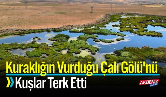 Kuraklığın Vurduğu Çalı Gölü'nü Kuşlar Terk Etti