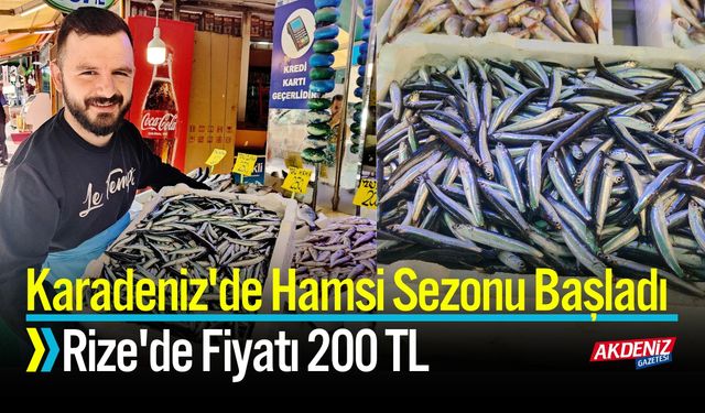 Karadeniz'de Hamsi Sezonu Başladı: Rize'de Fiyatı 200 TL