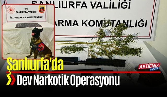 Şanlıurfa'da Dev Narkotik Operasyonu