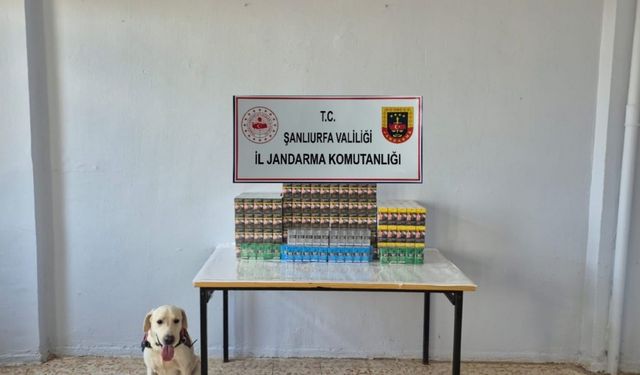 Şanlıurfa'da Kaçakçılık Operasyonu