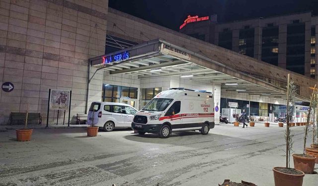 Siirt’te ağaçtan düşen şahıs hayatını kaybetti