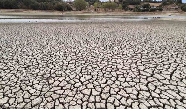Tekirdağ Bıyıkali Göleti'nde Su Seviyesi Alarm Veriyor