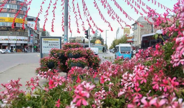 Van'ın Cadde ve Refüjleri Rengârenk Sardunyalarla Donatıldı