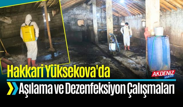 Yüksekova'da Aşılama ve Dezenfeksiyon Çalışmaları