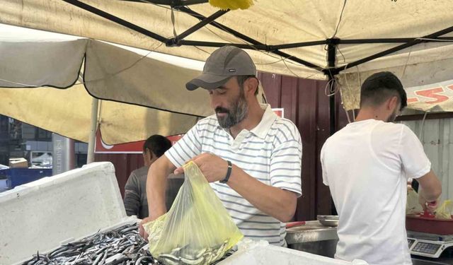Zonguldak'ta Tezgahlarda Hamsi Bolluğu Yaşandı