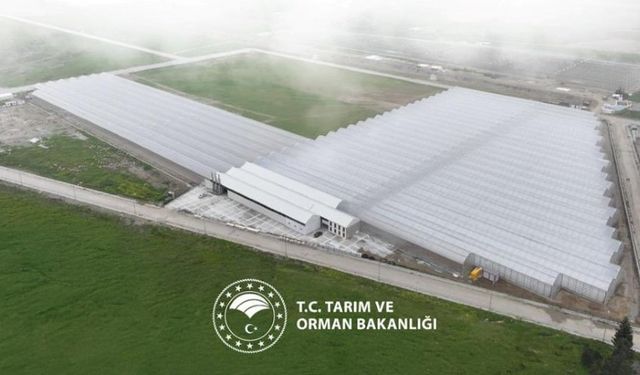 Modern Tarımda Kadın Gücü Üretimi Güçlendiriyor