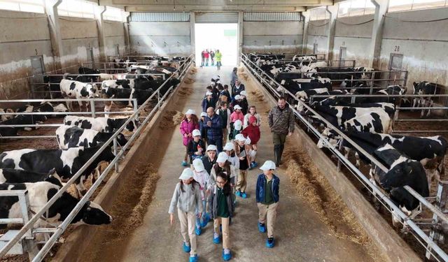 Afyonkarahisar’da ‘Lider Çocuk Tarım Kampı’nda Tema