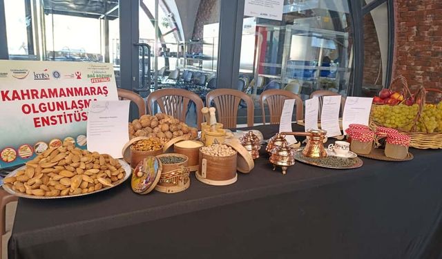 Kahramanmaraş’ta Bağ Bozumu Festivali Başladı