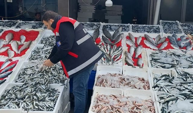 Çarşamba'da Balık tezgahları denetlendi