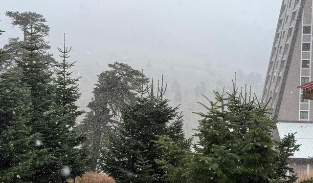 Bolu'ya Mevsimin İlk Karı Düştü