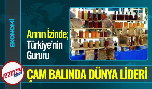 Çam Balında Dünya Birincisi Muğla