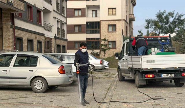 Çevre Hijyeni Ön Planda: İlaçlama Seferberliği Sürüyor