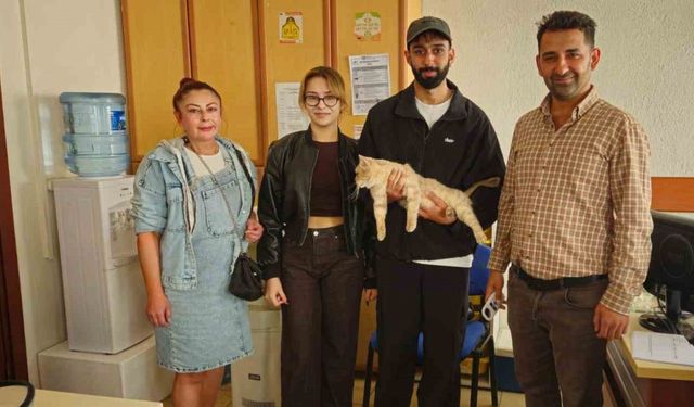 Çip sayesinde kayıp kedi kısa sürede sahibine kavuştu