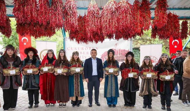 Çukurören biberi Bilecik tarımında yükselen değer