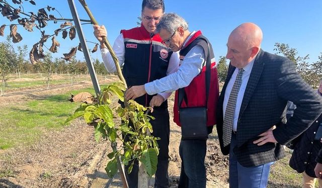 Dev Ceviz Bahçesine Ziyaret: Üreticiye Destek ve Teşvik