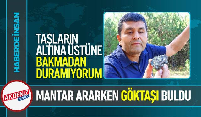 Karabük'te Mantar Ararken Göktaşı Buldu