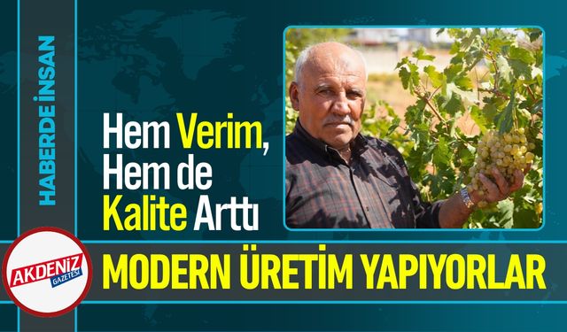 Gaziantep Fıstık Şehrine Üzüm Bağları Kuruldu