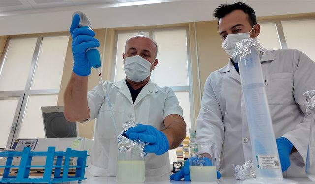 Hayvancılığa Doğal Çözüm: Ödem'e Bitkisel Karışım