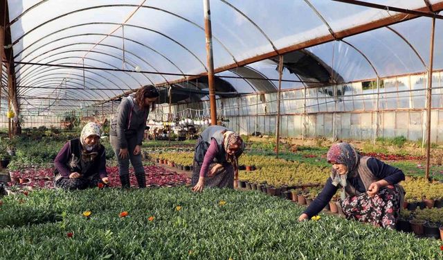 Kadın emeğiyle yerel kalkınma güçlendiriliyor