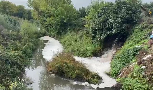Karsak Deresi'ne Karışan Kirli Su Gemlik Körfezi'ne Akıyor!