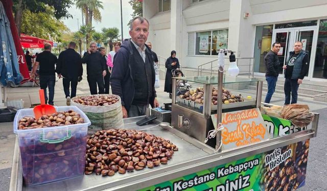 Kestane Sezonu Bandırma'da Başladı