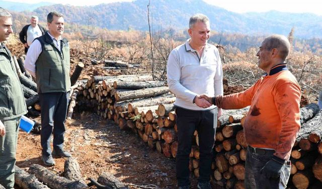 Köyceğiz'de 2309 Hektarlık Yanan Alan Yeniden Yeşeriyor