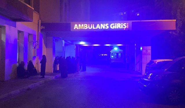 Koyun Otlatan Çobana Yıldırım İsabet Etti