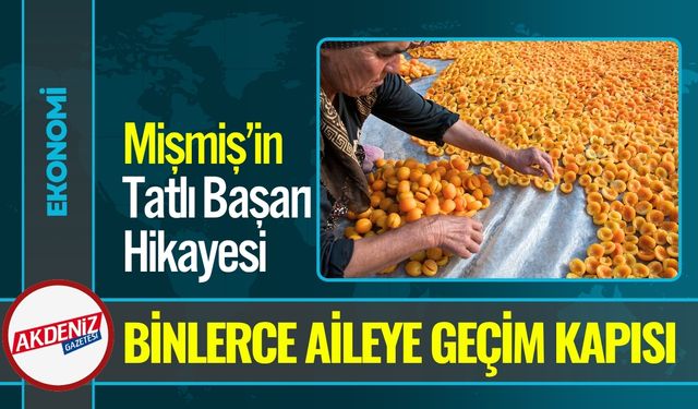 Malatya AB Tescilli ‘Mişmiş’iyle Dünyayı Tatlandırıyor