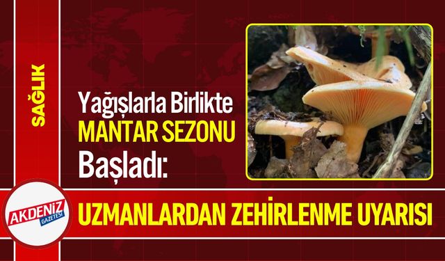 Mantar Sezonu Başladı: Uzmanlardan Zehirlenme Uyarısı