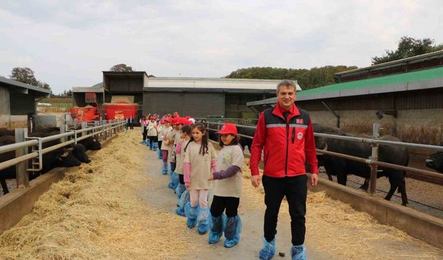 Minikler Coğrafi İşaretli Ürünlerin Üretimini Yerinde Gördü