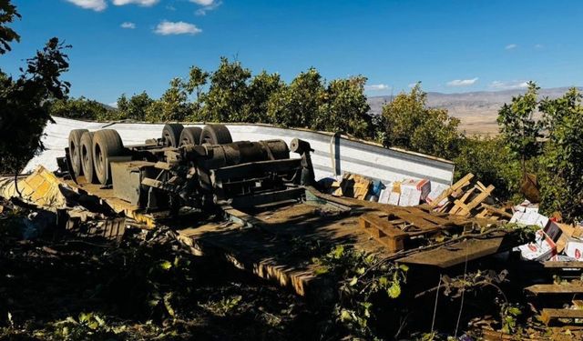 Muş-Kulp Karayolunda Korkutan Kaza: 1 Yaralı