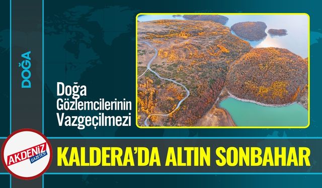 Nemrut Kalderası Sonbaharda 'Altın Sarısı'na Büründü