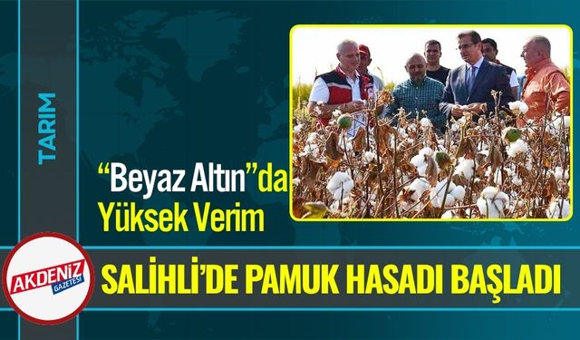 Manisa Salihli Ovası’nda Pamuk Hasadı Başladı
