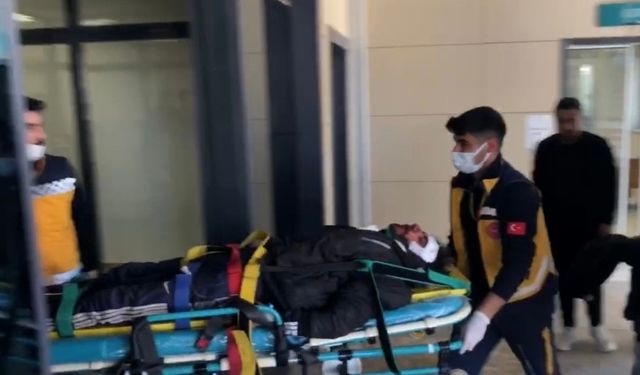 Şanlıurfa Ceylanpınar'da Yol Kenarında Bulundu