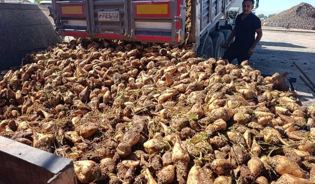 Tarım ve Orman Bakanlığı, Şeker Fabrikalarında Denetim Başlatıyor