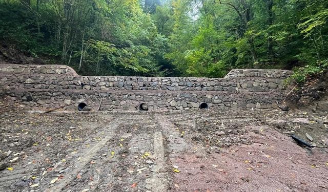 Sinop Orman’dan Sel ve Erozyona Karşı Kalıcı Çözüm