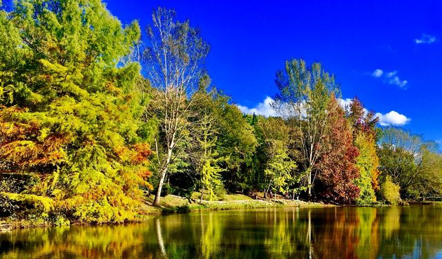 Erzincan'da Sonbahar İhtişamı: Doğanın Renkleri Büyülüyor