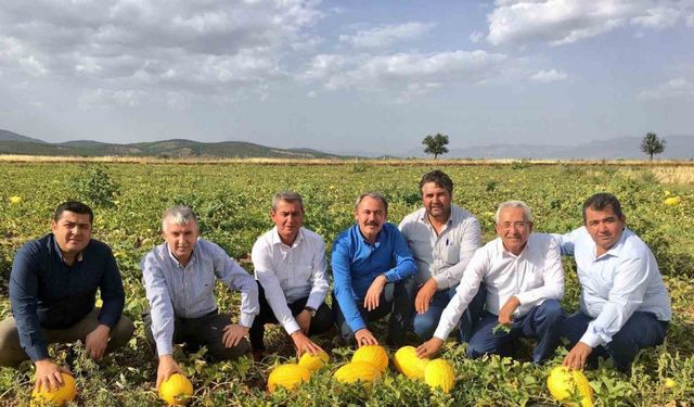 Ünü Türkiye’yi Aştı: Coğrafi İşaretle Tescillendi